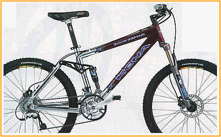 Kona dawg 2004 top